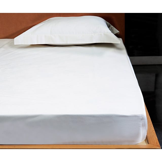 Signoria Luna 600 TC Fitted Sheet