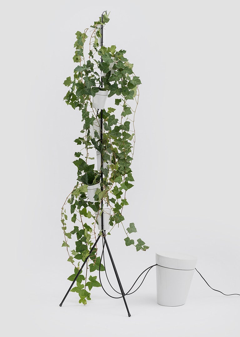 Danese Milano Window Garden Floor Vase