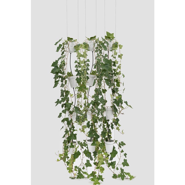 Danese Milano Window Garden Pendant Vase
