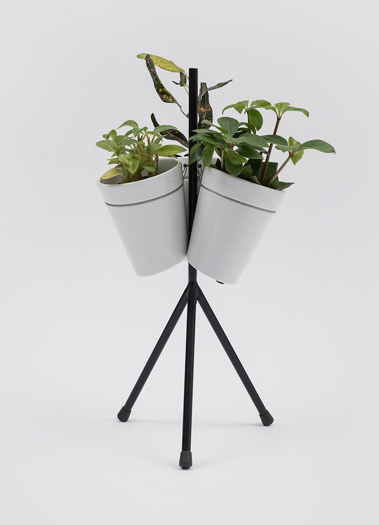 Danese Milano Window Garden Table Vase