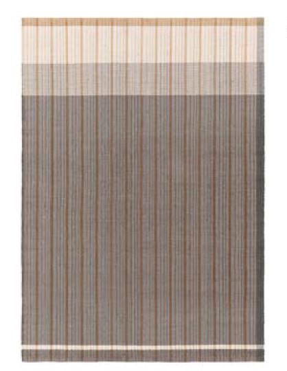 GAN Reversible Rug