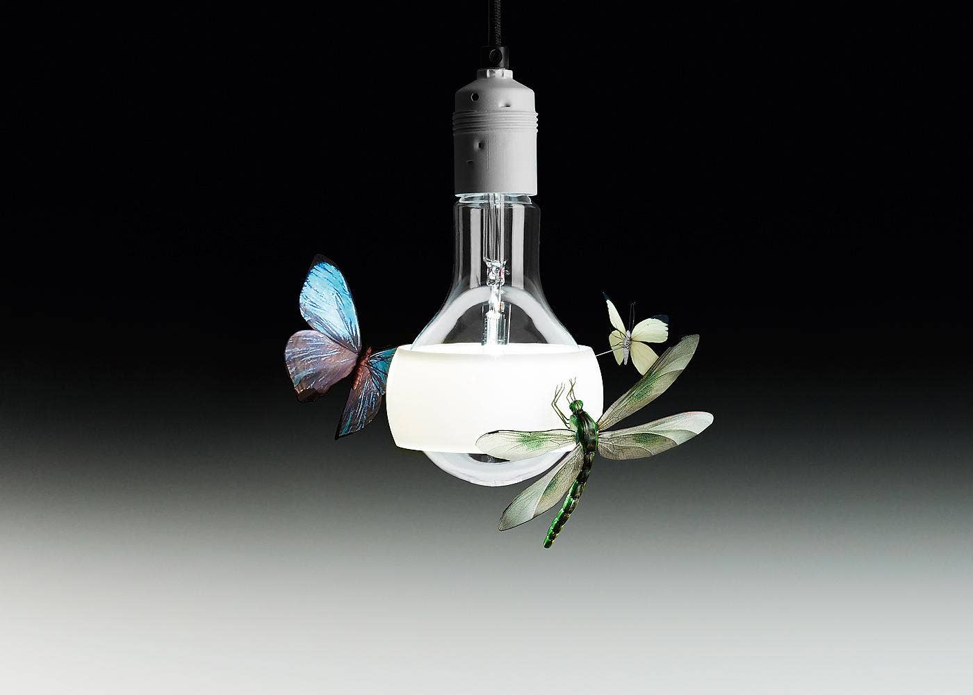 Ingo Maurer Johnny B. Butterfly Pendant Lamp