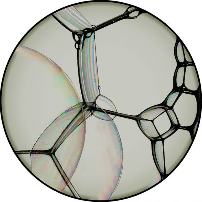 Moooi Bubble Natural Zoom Carpet