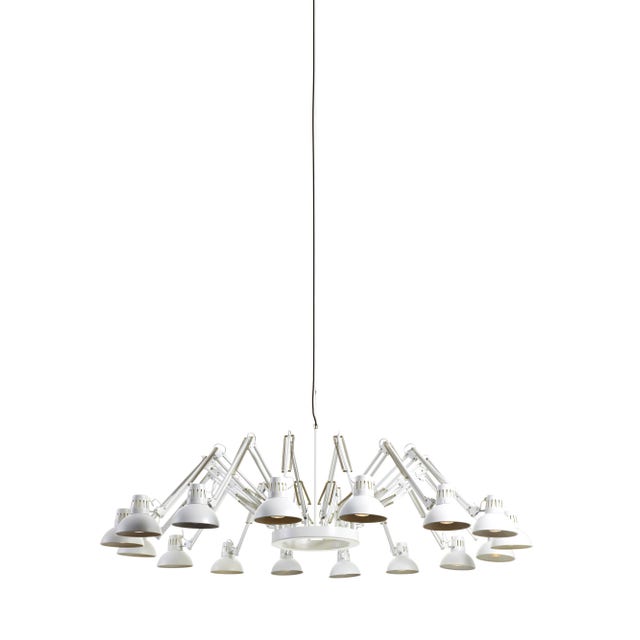 Moooi Dear Ingo Suspension Lamp