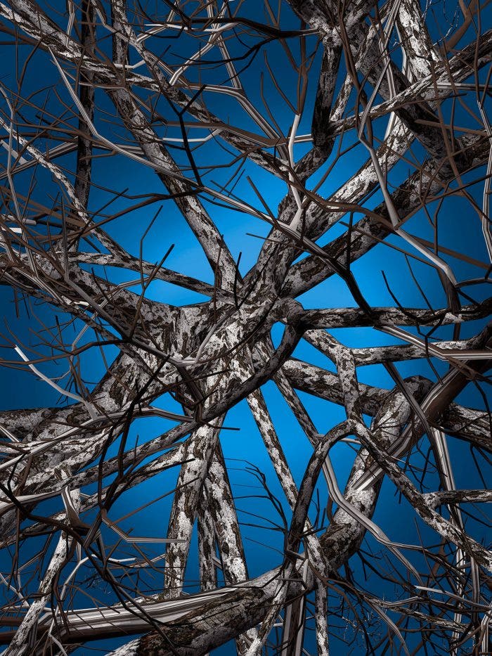 Moooi Liquid Birch Carpet