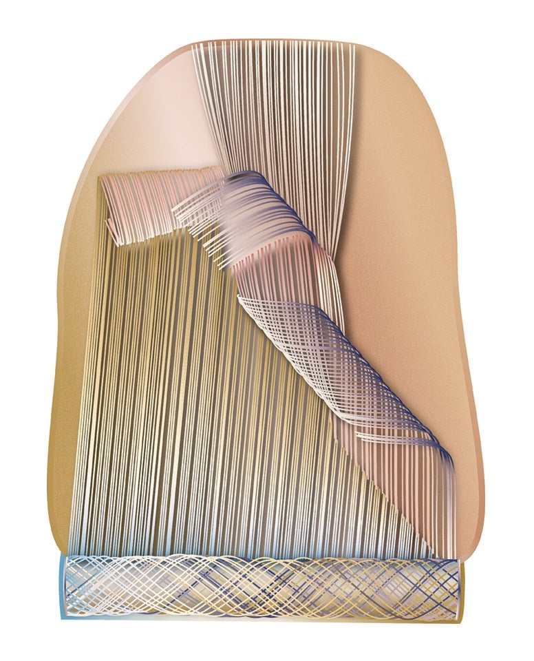 Moooi Ravel Un-Roll Summer Carpet