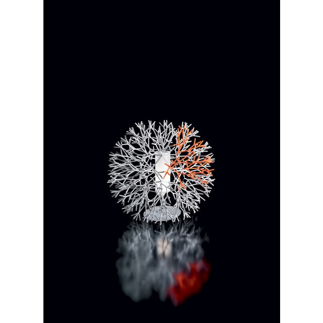 Pallucco Coral Table Lamp