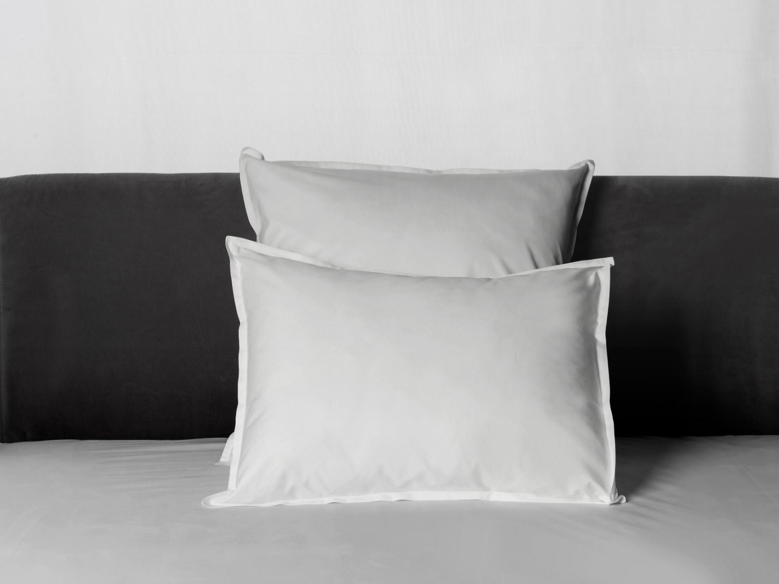Signoria Lineare Percale 600 TC Single Sham