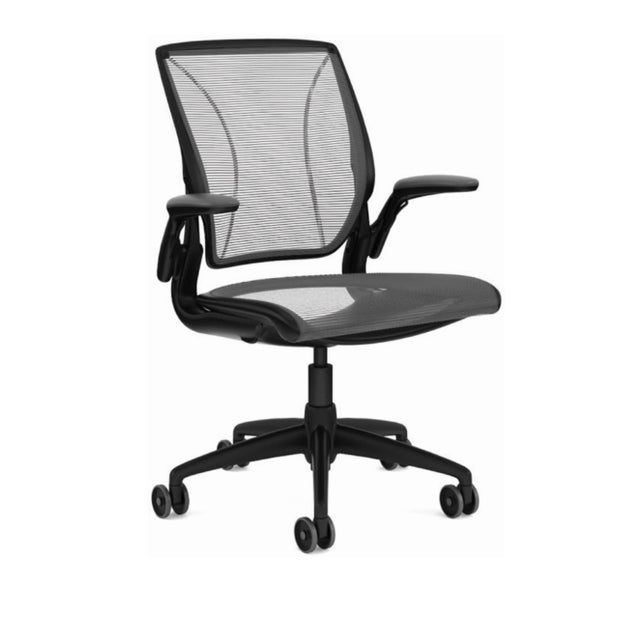 Humanscale Diffrient World Chair (Quickship)