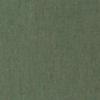 Canvas Fern