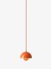 Zesty Orange