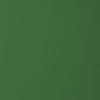 Grass Green 6010