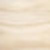 Accoya Wood