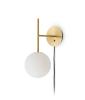 Brushed Brass