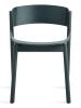 Navy Green on Ash