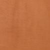 Brown 2594