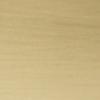 Brushed Brass