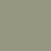 Pebble Green C540