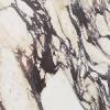 Rose Calacatta Viola Marble