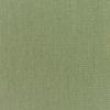 Canvas Fern