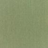 Canvas Fern