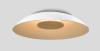 Blanc - White Shade / White Shade / White Washed Oak