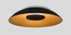 Noir - Black Shade / Brushed Brass Shade / Dark Stained Walnut