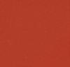 Coral Orange