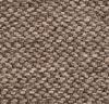 Taupe SLA