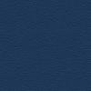 Dark Blue RAL 5003