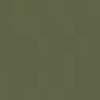 Fern Green