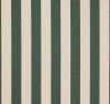 Light Apricot / Dark Green