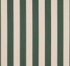 Light Apricot/Dark Green Stripe