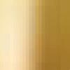 Matte Gold Lacquer