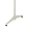 White column, white foot