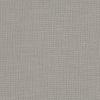 Silver Grey