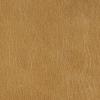 Camel Leather