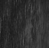 Black Stain
