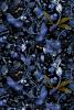 Blue/Black