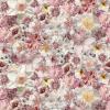 Flowergarden Day