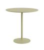 Beige Green Laminate/Beige Green