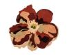 Bloom 2