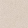 Light Sand 501