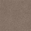 Warm Grey 502