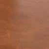 Old Saddle Leather