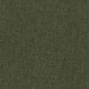 Olive 53