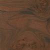 Walnut Burl