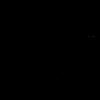 Black RAL 9005
