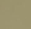 Olive Grey RAL 7002