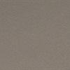 Matt Taupe